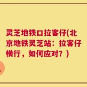 灵芝地铁口拉客仔(北京地铁灵芝站：拉客仔横行，如何应对？)