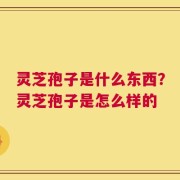 灵芝孢子是什么东西？灵芝孢子是怎么样的