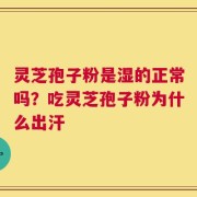 灵芝孢子粉是湿的正常吗？吃灵芝孢子粉为什么出汗