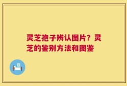 灵芝孢子辨认图片？灵芝的鉴别方法和图鉴