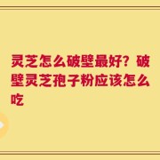 灵芝怎么破壁最好？破壁灵芝孢子粉应该怎么吃