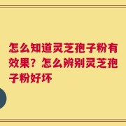 怎么知道灵芝孢子粉有效果？怎么辨别灵芝孢子粉好坏