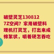 破壁灵芝1308127Z空间？家用破壁料理机打灵芝，打出来成棉絮状，嚼着硬怎吞吃