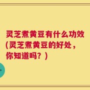 灵芝煮黄豆有什么功效(灵芝煮黄豆的好处，你知道吗？)