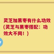 灵芝加黑枣有什么功效(灵芝与黑枣搭配：功效大不同！)