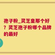 孢子粉_灵芝皇那个好？灵芝孢子粉哪个品牌的最好