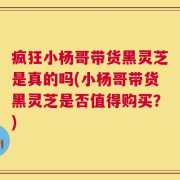 疯狂小杨哥带货黑灵芝是真的吗(小杨哥带货黑灵芝是否值得购买？)