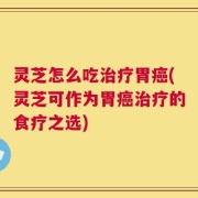 灵芝怎么吃治疗胃癌(灵芝可作为胃癌治疗的食疗之选)