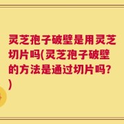 灵芝孢子破壁是用灵芝切片吗(灵芝孢子破壁的方法是通过切片吗？)