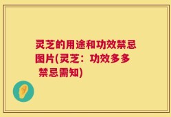 灵芝的用途和功效禁忌图片(灵芝：功效多多 禁忌需知)