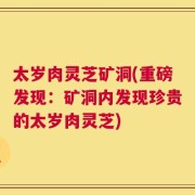 太岁肉灵芝矿洞(重磅发现：矿洞内发现珍贵的太岁肉灵芝)