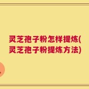 灵芝孢子粉怎样提炼(灵芝孢子粉提炼方法)