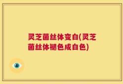 灵芝菌丝体变白(灵芝菌丝体褪色成白色)