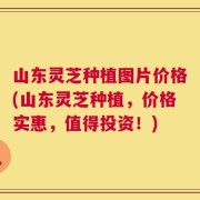 山东灵芝种植图片价格(山东灵芝种植，价格实惠，值得投资！)