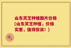 山东灵芝种植图片价格(山东灵芝种植，价格实惠，值得投资！)