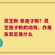 灵芝粉 非孢子粉？灵芝孢子粉的功效、作用及禁忌是什么
