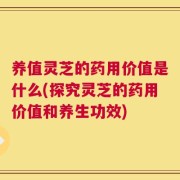 养值灵芝的药用价值是什么(探究灵芝的药用价值和养生功效)