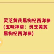灵芝黄芪黑枸杞西洋参(五味神草：灵芝黄芪黑枸杞西洋参)