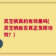 灵芝柄真的有效果吗(灵芝柄能否真正发挥功效？)