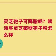 灵芝孢子可降脂呢？赋汤亭灵芝破壁孢子粉怎么样