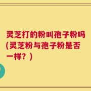 灵芝打的粉叫孢子粉吗(灵芝粉与孢子粉是否一样？)