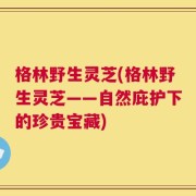 格林野生灵芝(格林野生灵芝——自然庇护下的珍贵宝藏)