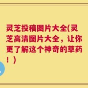 灵芝投稿图片大全(灵芝高清图片大全，让你更了解这个神奇的草药！)