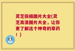 灵芝投稿图片大全(灵芝高清图片大全，让你更了解这个神奇的草药！)