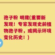 孢子粉 明隆(重要新发现！专家发现史前植物孢子粉，或揭示环境变化历史！)