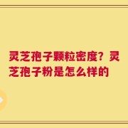 灵芝孢子颗粒密度？灵芝孢子粉是怎么样的