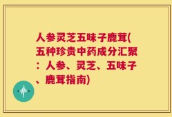 人参灵芝五味子鹿茸(五种珍贵中药成分汇聚：人参、灵芝、五味子、鹿茸指南)