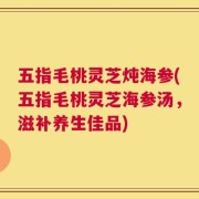五指毛桃灵芝炖海参(五指毛桃灵芝海参汤，滋补养生佳品)