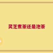 灵芝煮茶还是泡茶