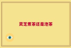 灵芝煮茶还是泡茶