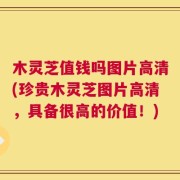 木灵芝值钱吗图片高清(珍贵木灵芝图片高清，具备很高的价值！)