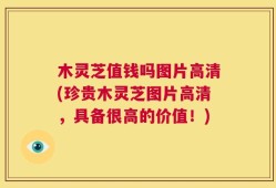 木灵芝值钱吗图片高清(珍贵木灵芝图片高清，具备很高的价值！)