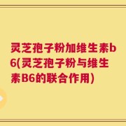 灵芝孢子粉加维生素b6(灵芝孢子粉与维生素B6的联合作用)