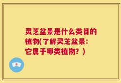 灵芝盆景是什么类目的植物(了解灵芝盆景：它属于哪类植物？)