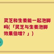 灵芝和生姜能一起泡脚吗(「灵芝与生姜泡脚效果倍增？」)