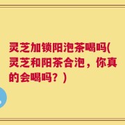 灵芝加锁阳泡茶喝吗(灵芝和阳茶合泡，你真的会喝吗？)