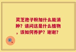 灵芝孢子粉加什么能消肿？请问这是什么植物，该如何养护？谢谢？