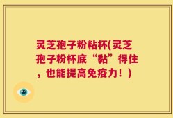 灵芝孢子粉粘杯(灵芝孢子粉杯底“黏”得住，也能提高免疫力！)
