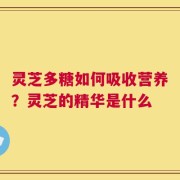 灵芝多糖如何吸收营养？灵芝的精华是什么