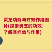 灵芝功能与疗效作用图片(探索灵芝的功效：了解其疗效与作用)
