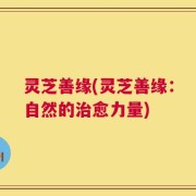 灵芝善缘(灵芝善缘：自然的治愈力量)