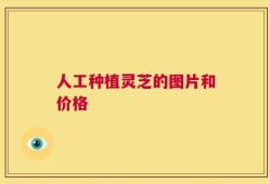 人工种植灵芝的图片和价格