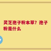 灵芝孢子粉本草？孢子粉是什么