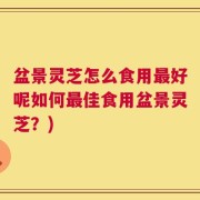 盆景灵芝怎么食用最好呢如何最佳食用盆景灵芝？)