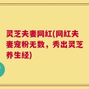 灵芝夫妻网红(网红夫妻宠粉无数，秀出灵芝养生经)