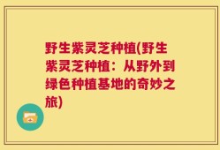 野生紫灵芝种植(野生紫灵芝种植：从野外到绿色种植基地的奇妙之旅)